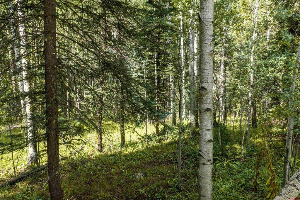 Tbd Road 55.9 Lot 3 Property Photo 8