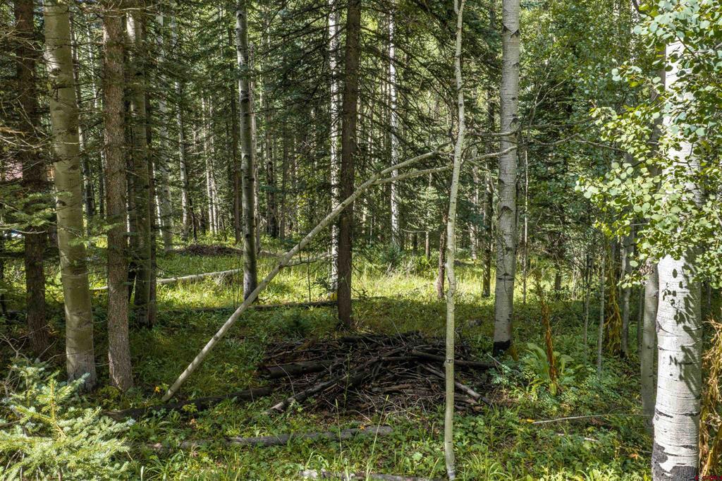 Tbd Road 55.9 Lot 3 Property Photo 9