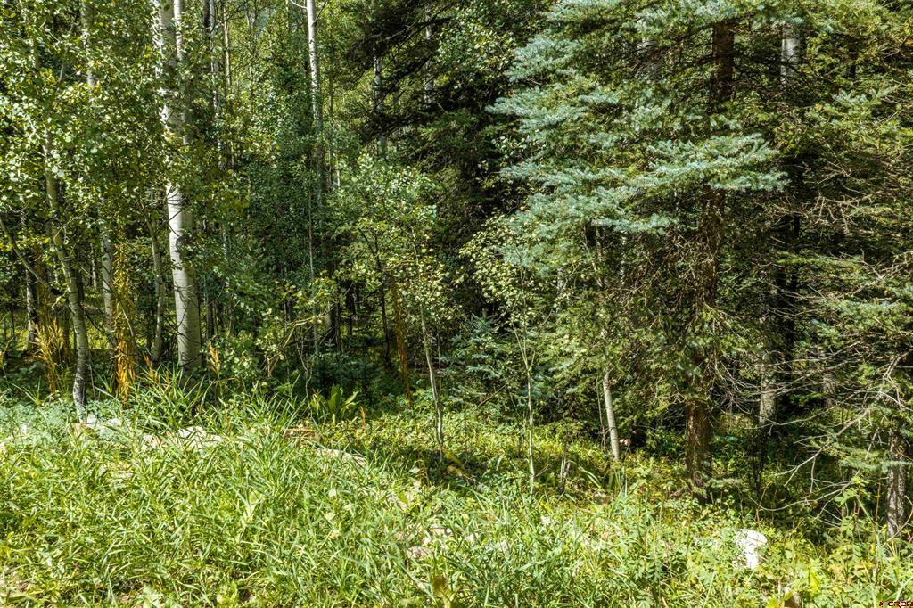 Tbd Road 55.9 Lot 3 Property Photo 10