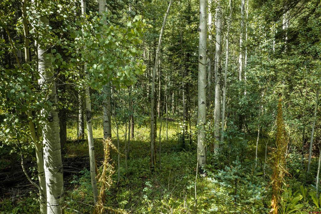 Tbd Road 55.9 Lot 3 Property Photo 11