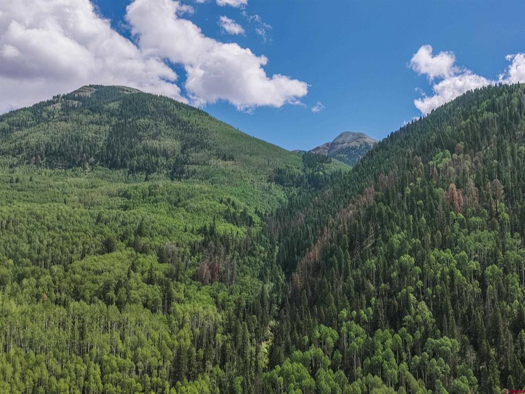 Tbd Road 55.9 Lot 3 Property Photo 17