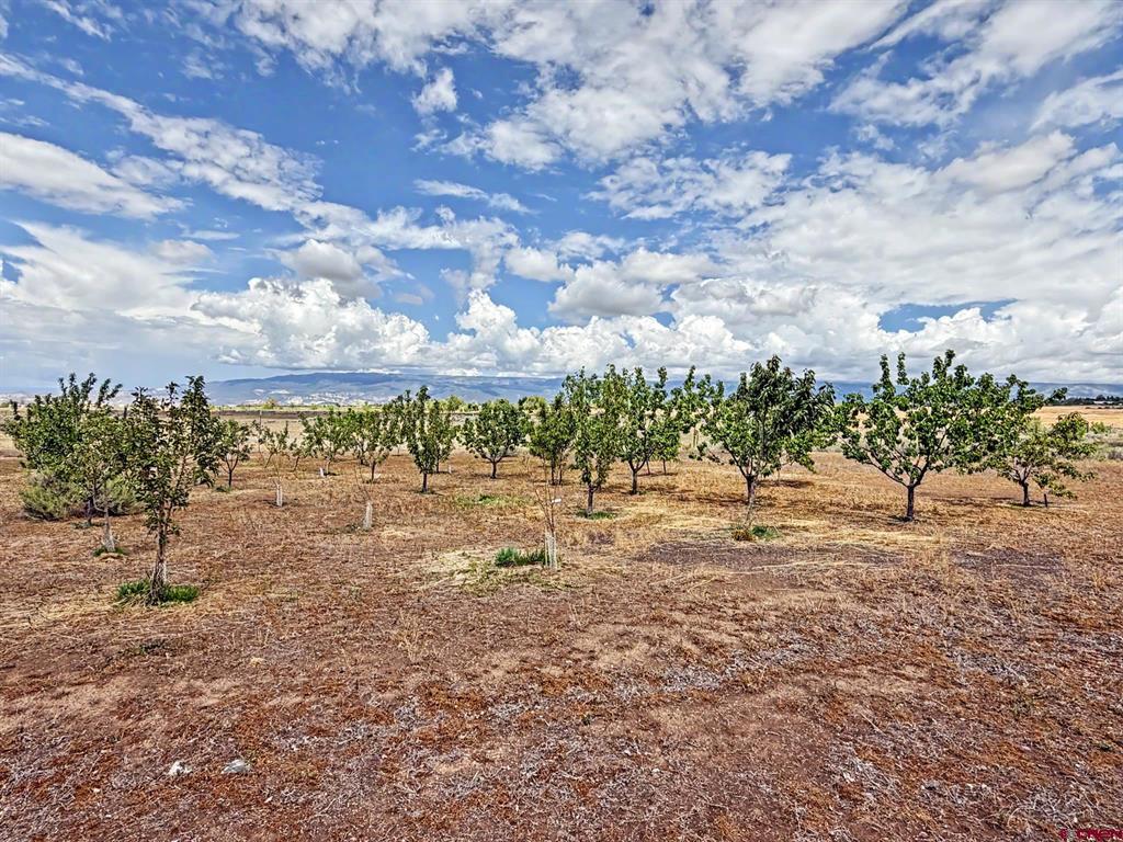 15195 2600 Road Property Photo 16