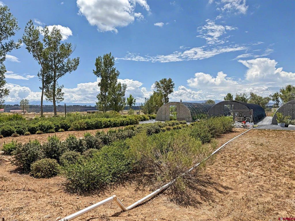 15195 2600 Road Property Photo 42
