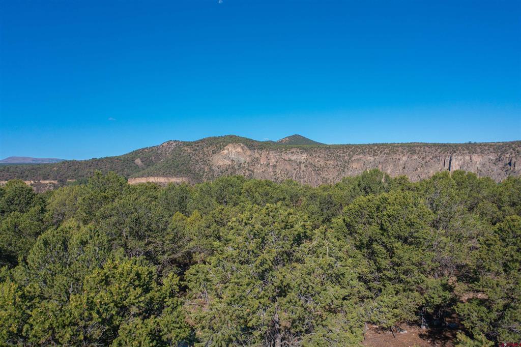 Tbd Pinon Property Photo 12