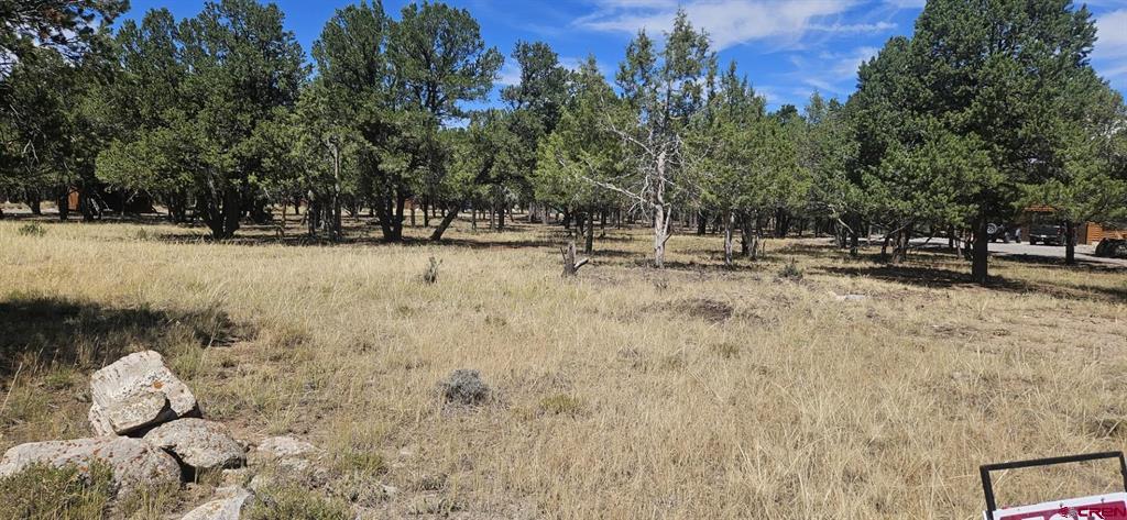 Tbd Pinon Property Photo 19