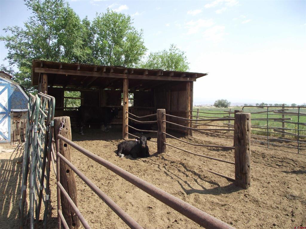 4418 1900 Road Property Photo 11