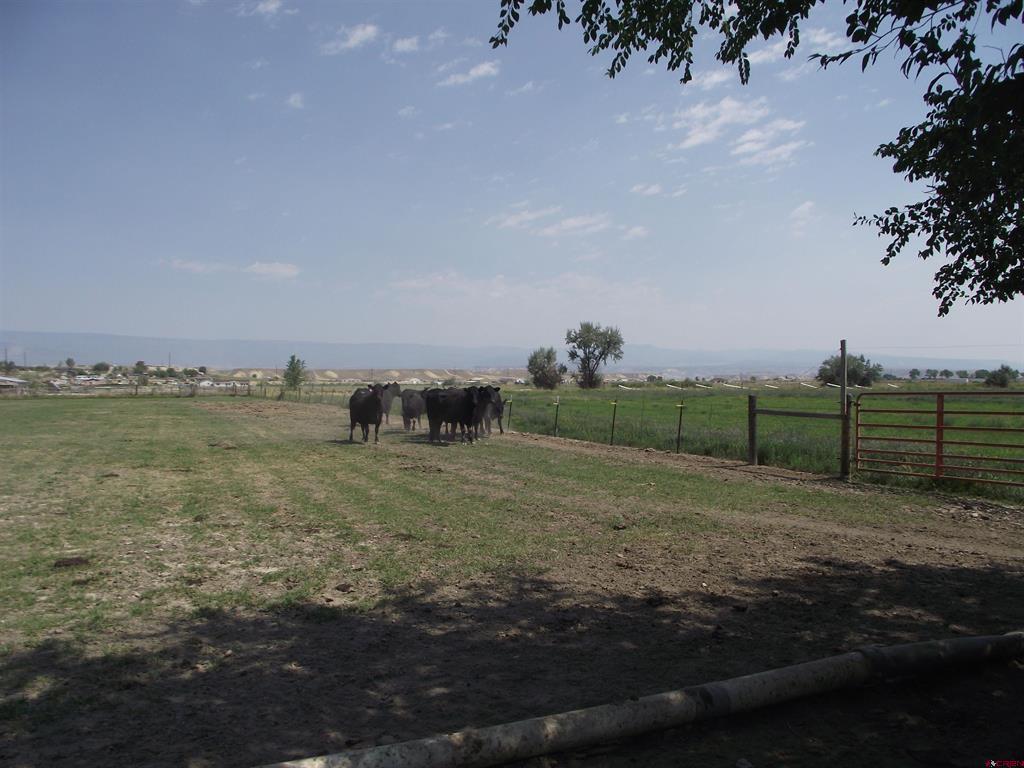 4418 1900 Road Property Photo 14