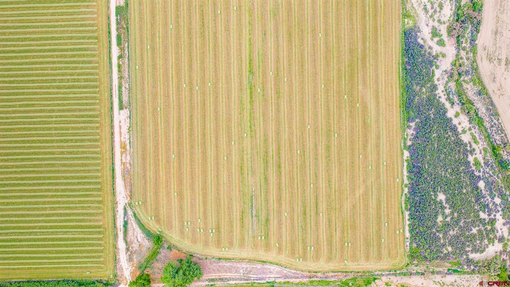 1063 24 Road Property Photo 6