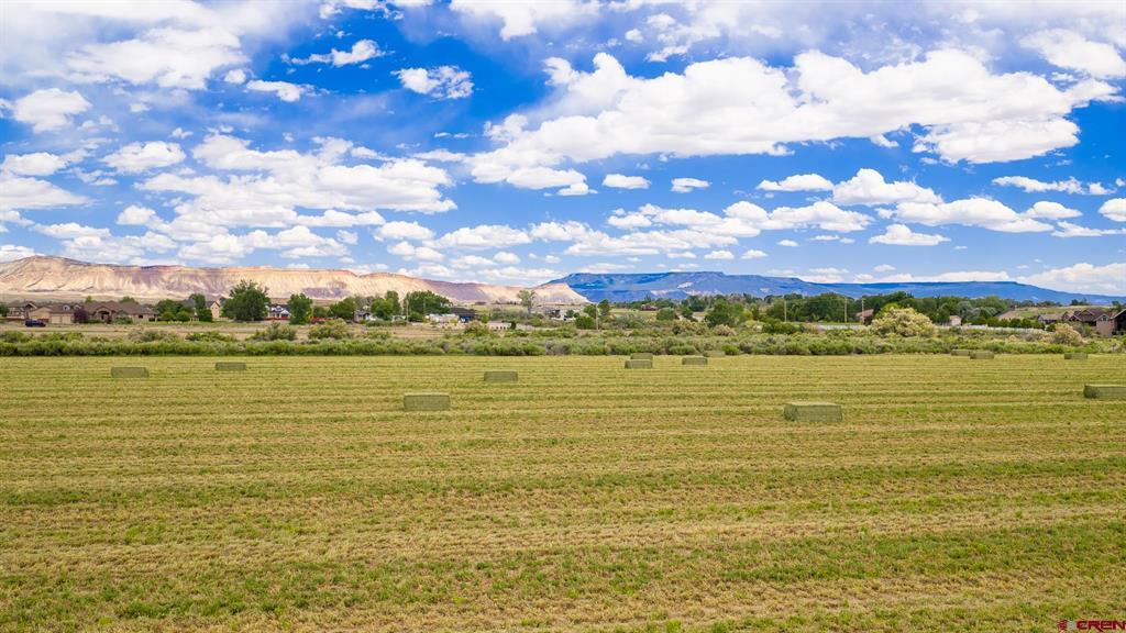 1063 24 Road Property Photo 9