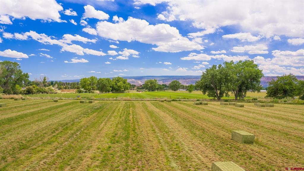 1063 24 Road Property Photo 10