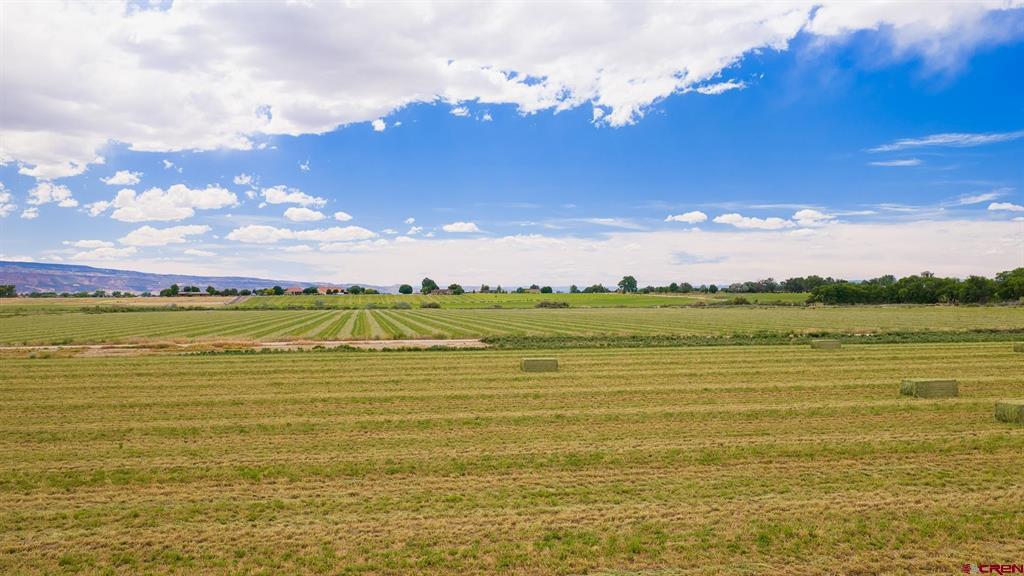 1063 24 Road Property Photo 12