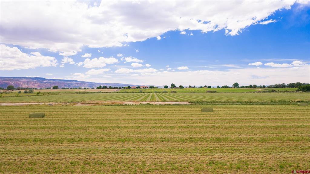 1063 24 Road Property Photo 13