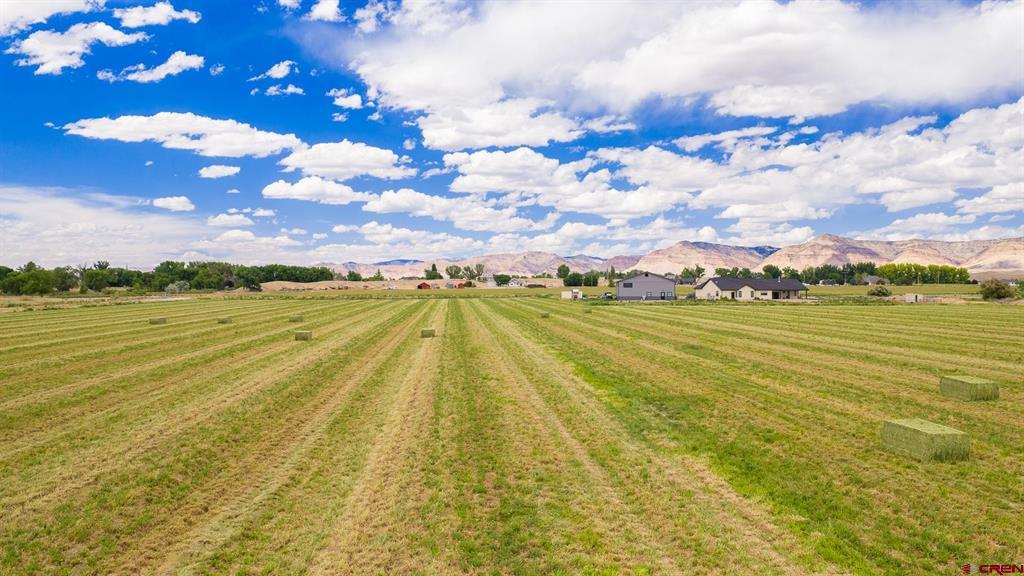 1063 24 Road Property Photo 14