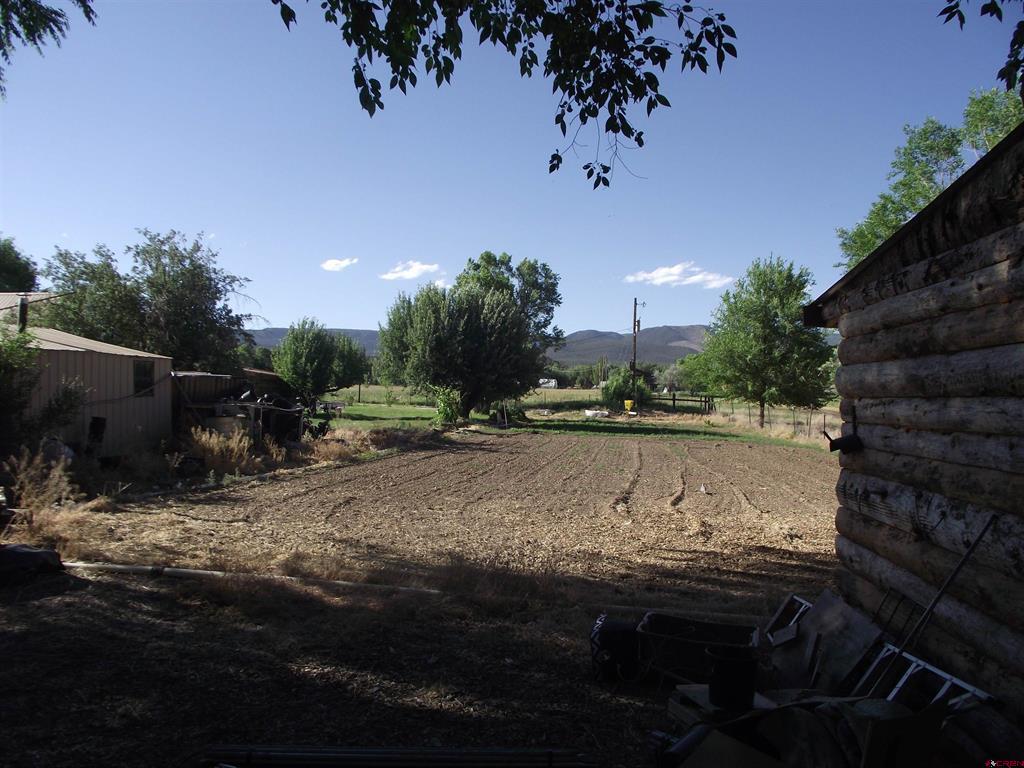 35503 Highway 133 Property Photo 11