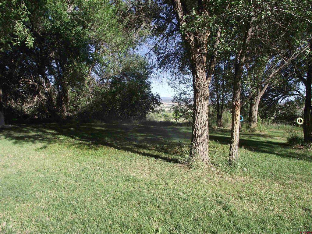 35503 Highway 133 Property Photo 13