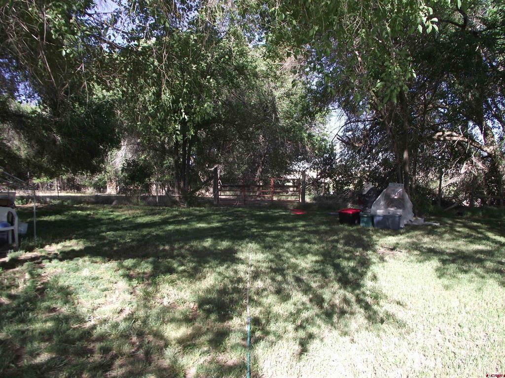 35503 Highway 133 Property Photo 14