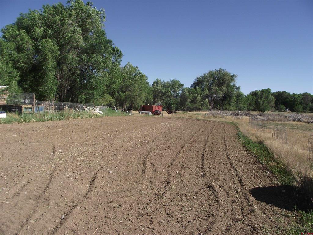 35503 Highway 133 Property Photo 42