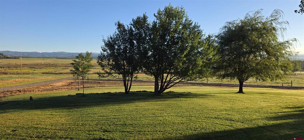 1044 Cr 314 Property Photo 11