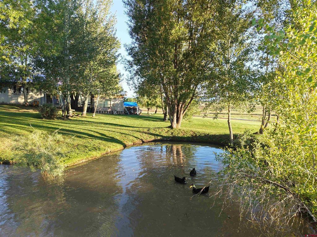 1044 Cr 314 Property Photo 43
