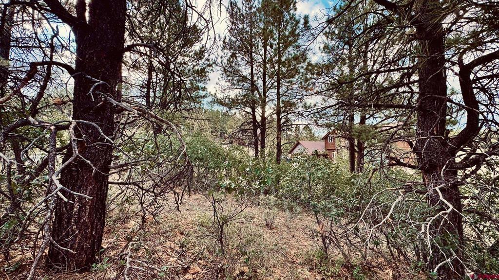 107 Chase Court Property Photo 10