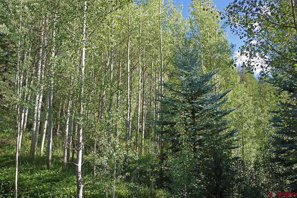 28670 Road 38 Property Photo 31