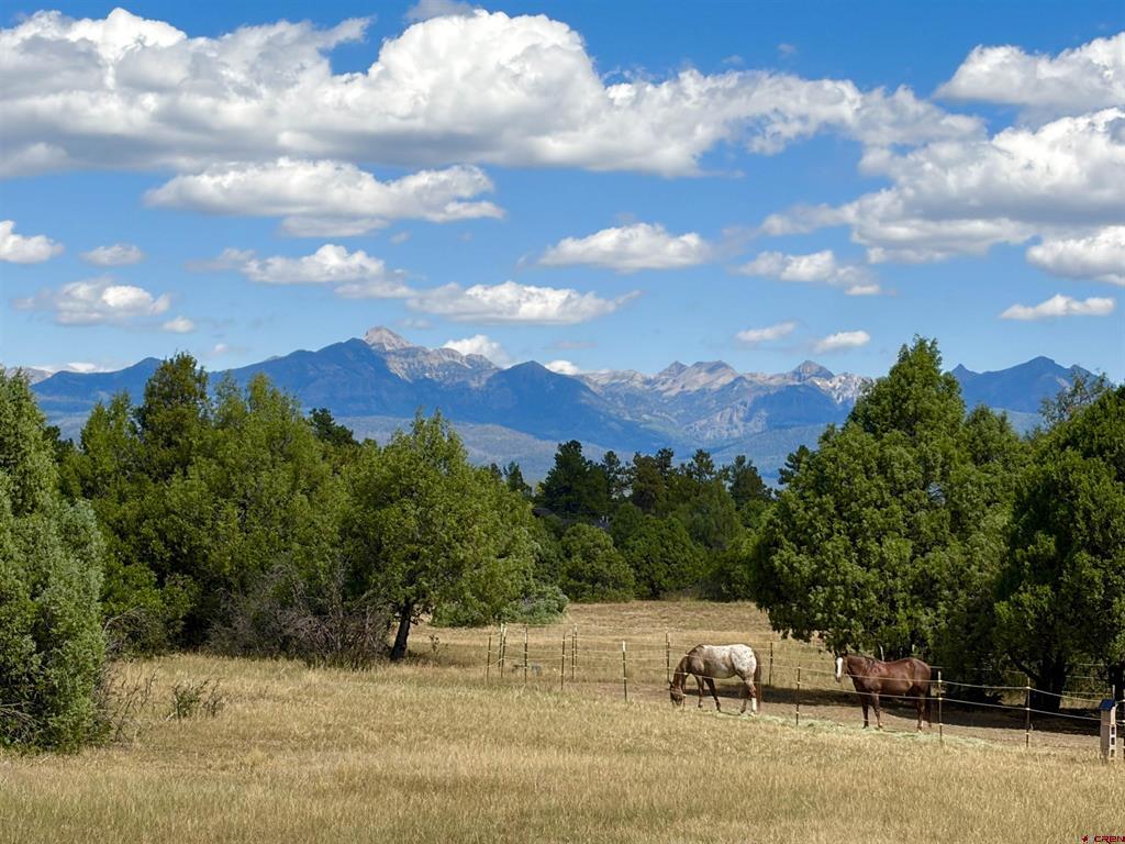 1592 S Pagosa Boulevard Property Photo 4