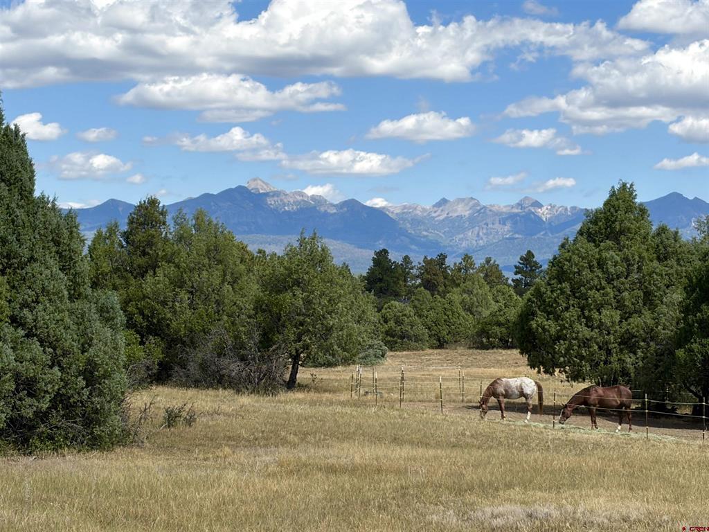 1592 S Pagosa Boulevard Property Photo 32