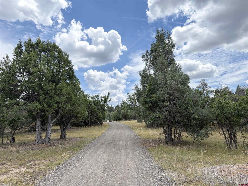 1592 S Pagosa Boulevard Property Photo 36