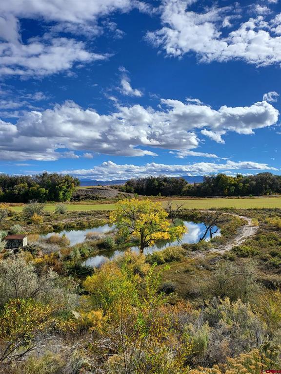 55347 Begonia (all Acreage) Road Property Photo 1