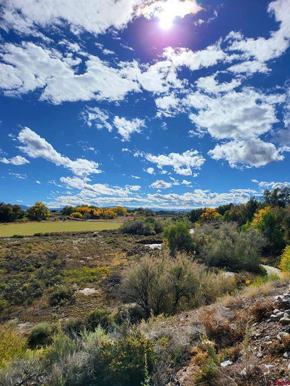 55347 Begonia (all Acreage) Road Property Photo 6