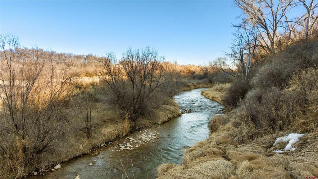 55347 Begonia (all Acreage) Road Property Photo 15