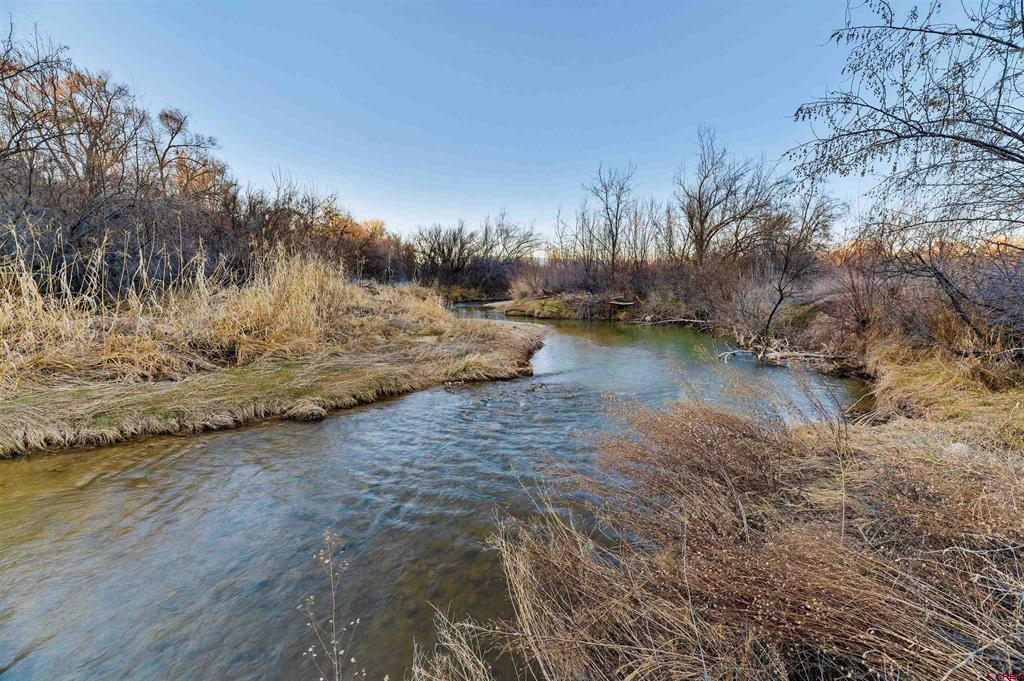 55347 Begonia (all Acreage) Road Property Photo 37