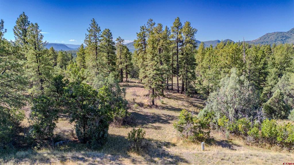 3169 Meadows Drive Property Photo 2