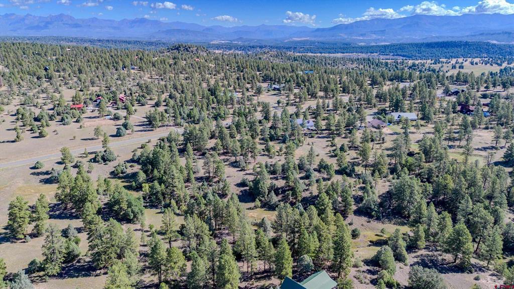 3169 Meadows Drive Property Photo 8