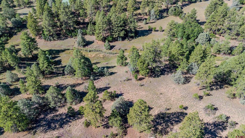 3169 Meadows Drive Property Photo 9