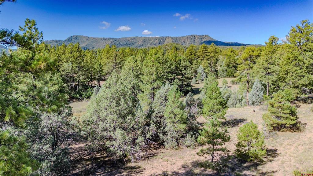 3169 Meadows Drive Property Photo 10