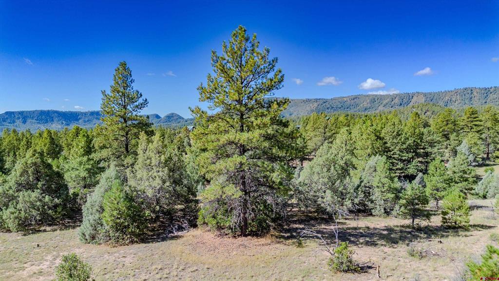 3169 Meadows Drive Property Photo 11