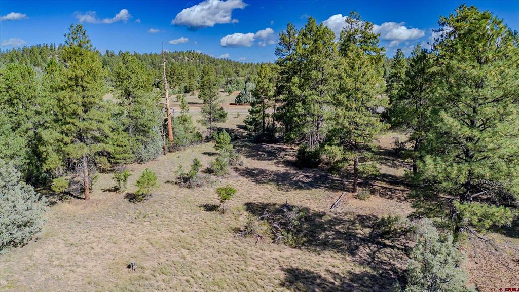3169 Meadows Drive Property Photo 12