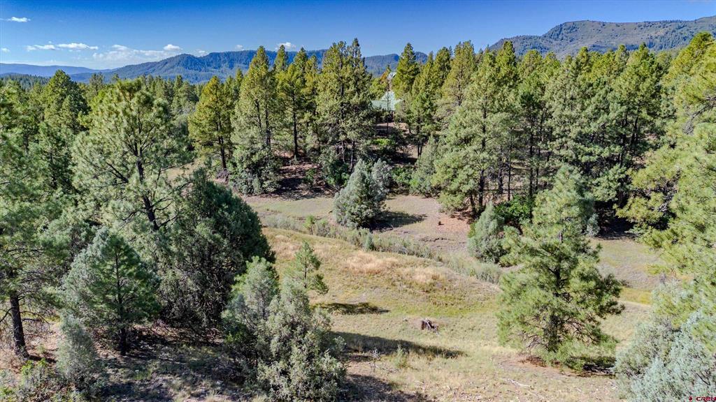 3169 Meadows Drive Property Photo 13