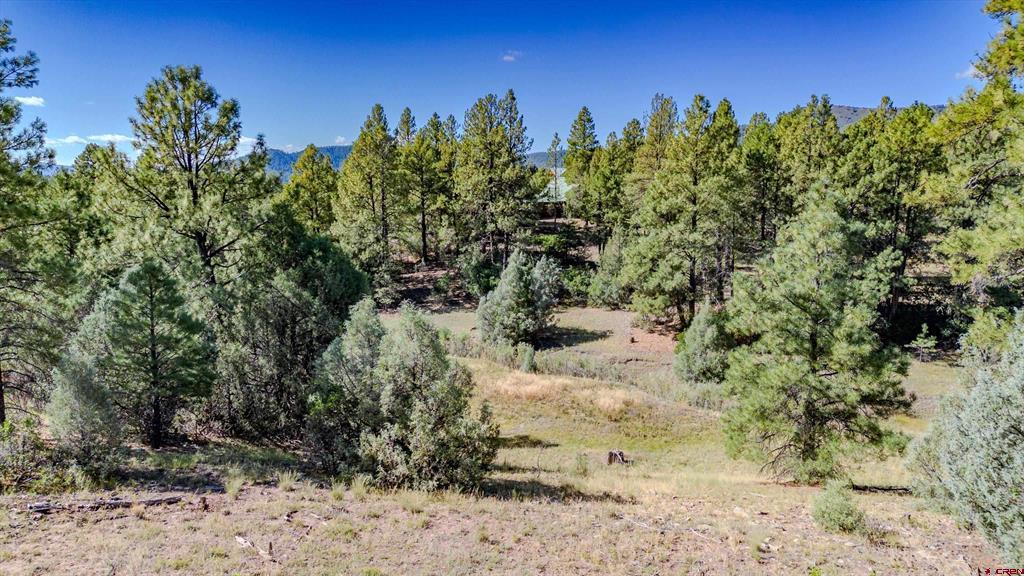3169 Meadows Drive Property Photo 14
