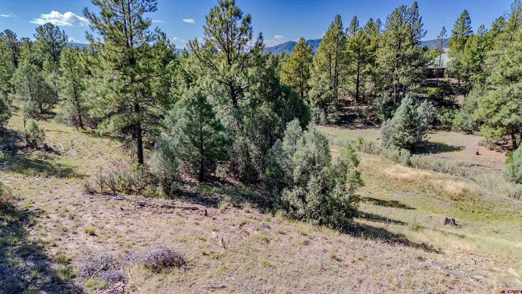 3169 Meadows Drive Property Photo 15