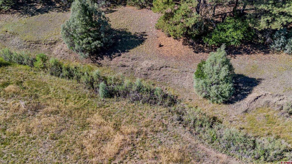3169 Meadows Drive Property Photo 16