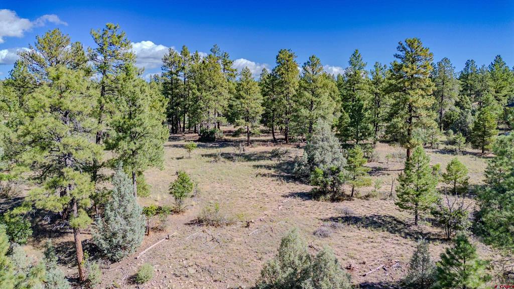 3169 Meadows Drive Property Photo 17