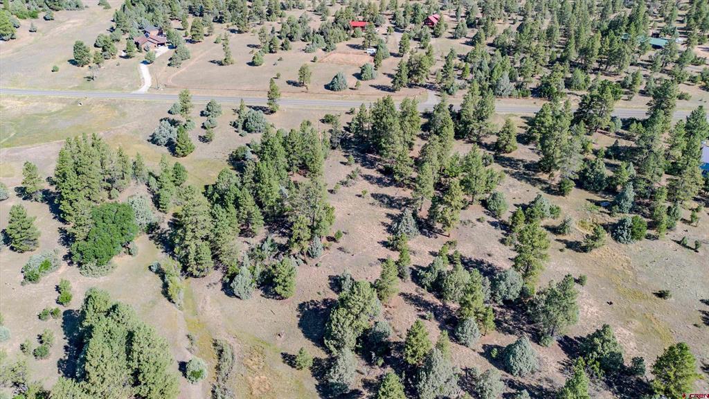 3169 Meadows Drive Property Photo 20