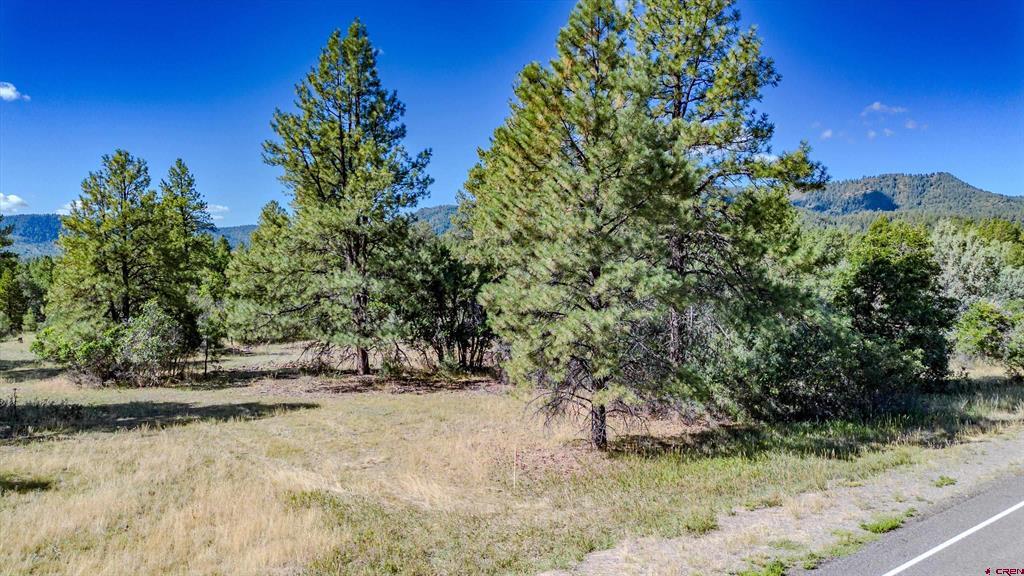 3169 Meadows Drive Property Photo 21