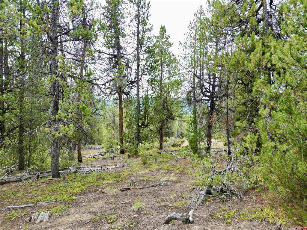 Tbd North Pond Road Property Photo 3