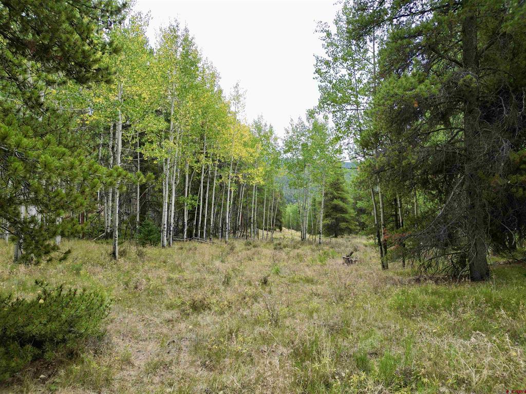 Tbd North Pond Road Property Photo 7