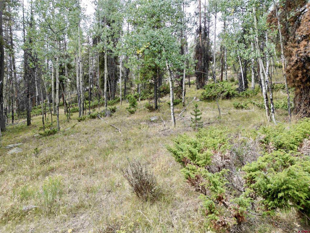Tbd North Pond Road Property Photo 8