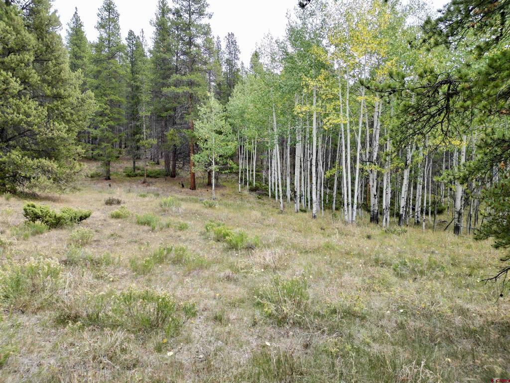 Tbd North Pond Road Property Photo 9