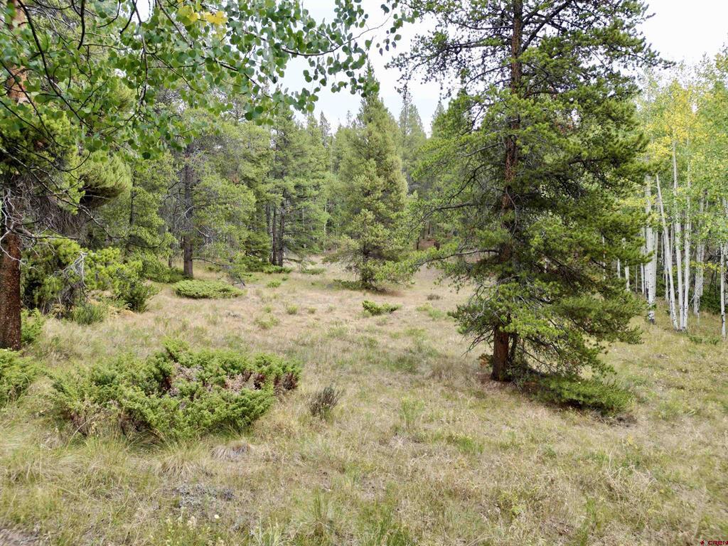 Tbd North Pond Road Property Photo 10